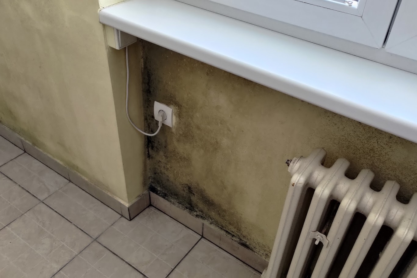 Likvidácia rozsiahlej plesne v byte – stav pred a po